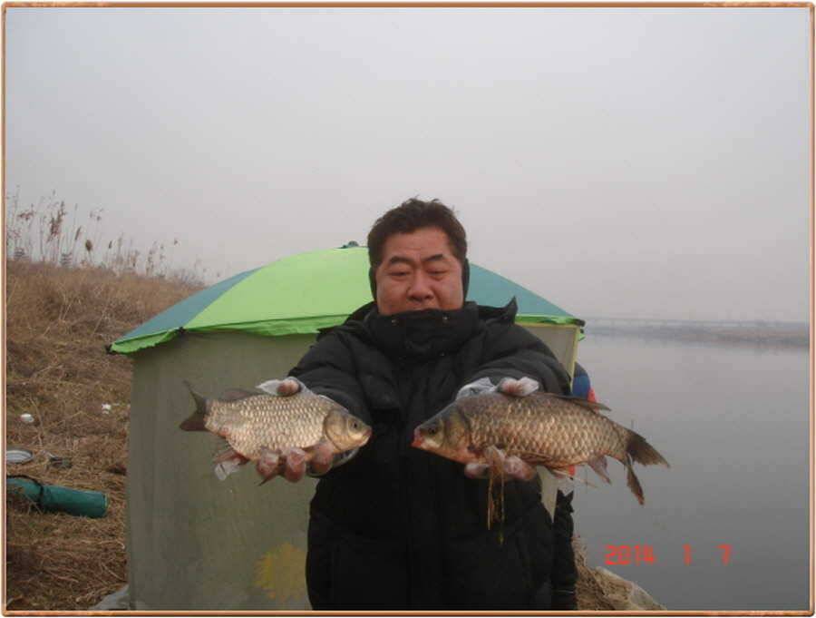 진위천 조황소식 (조황조행기 - 특파원조황)