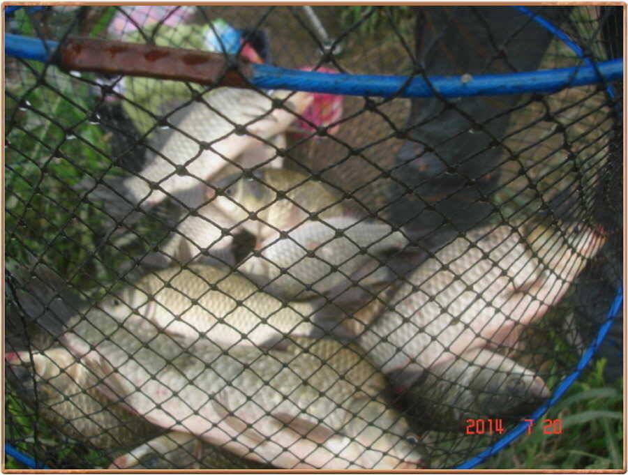 진위천 주말 조황 소식입니다 (조황조행기 - 특파원조황)