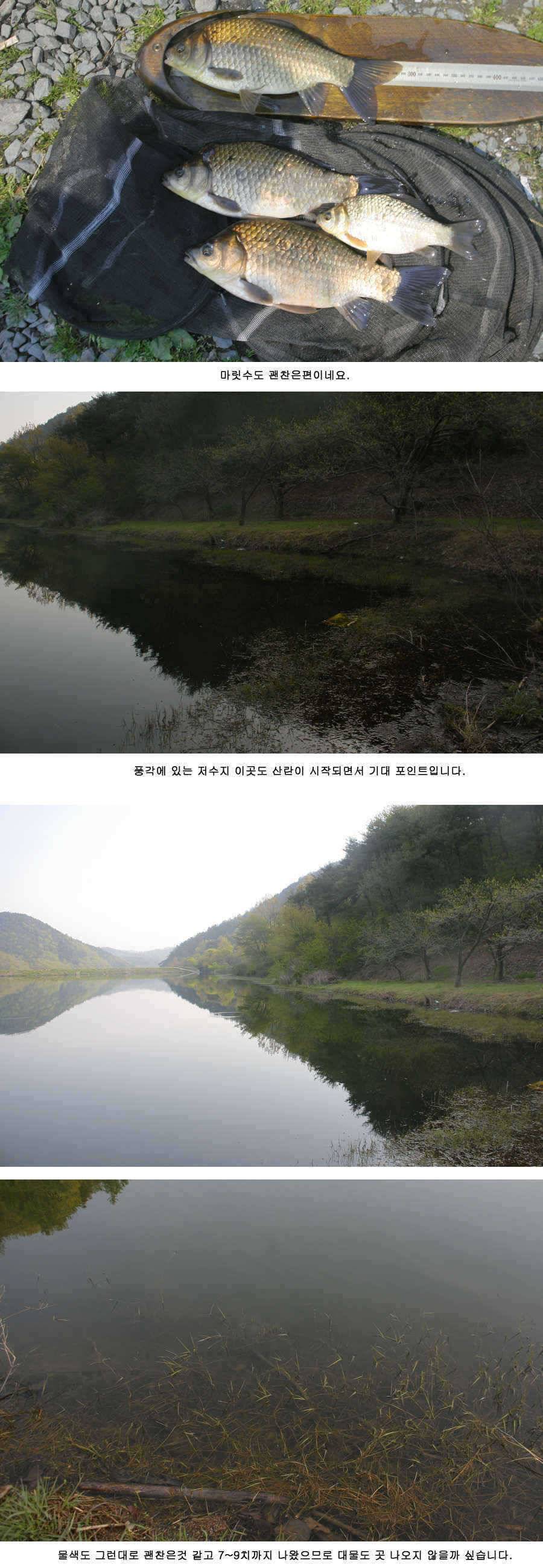 청도권 46 44 43 대물낚시의 메카 (조황조행기 - 특파원조황)