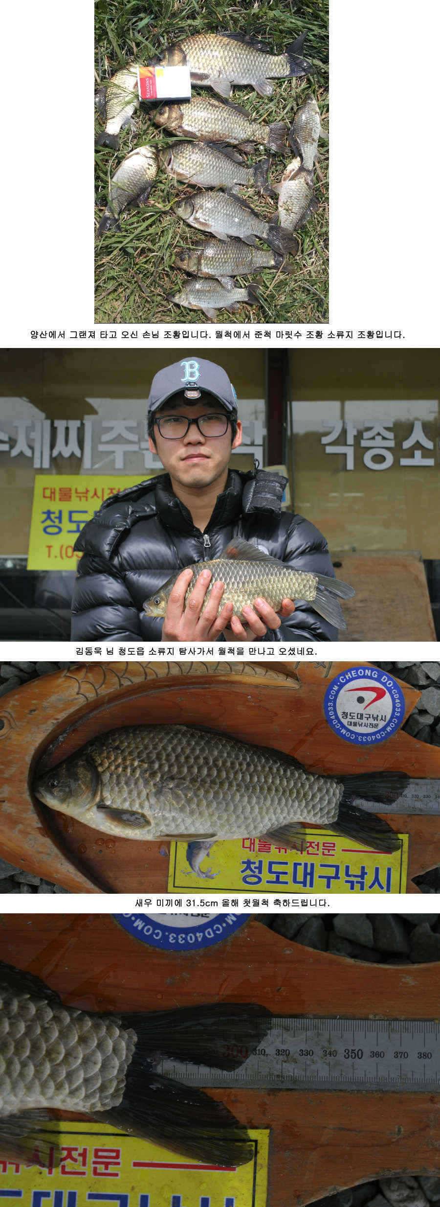 청도권 46 44 43 대물낚시의 메카 (조황조행기 - 특파원조황)