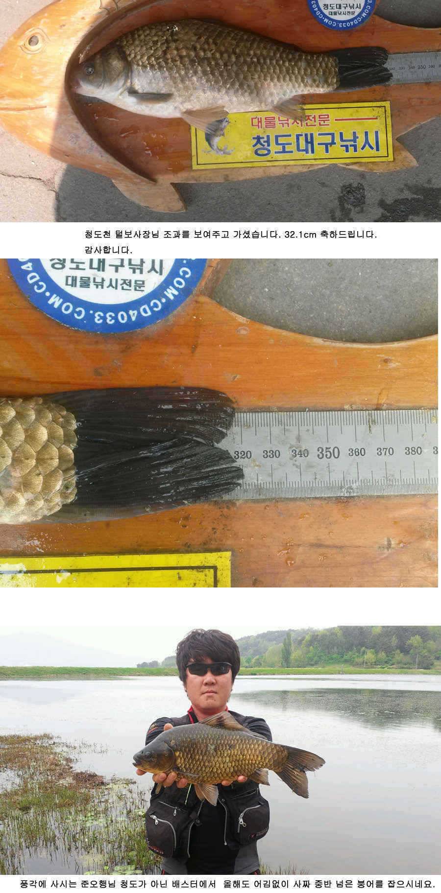 청도권 46 44 43 대물낚시의 메카 (조황조행기 - 특파원조황)