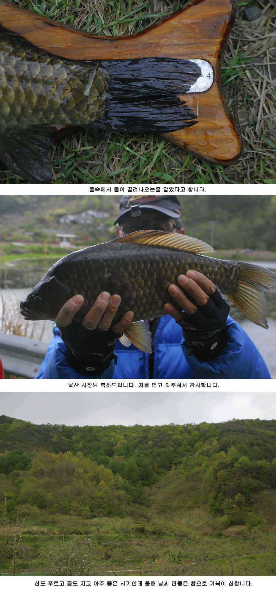 청도권 46 44 43 대물낚시의 메카 (조황조행기 - 특파원조황)