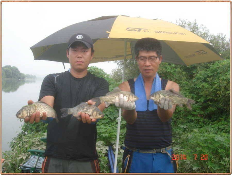 진위천 주말 조황 소식입니다 (조황조행기 - 특파원조황)