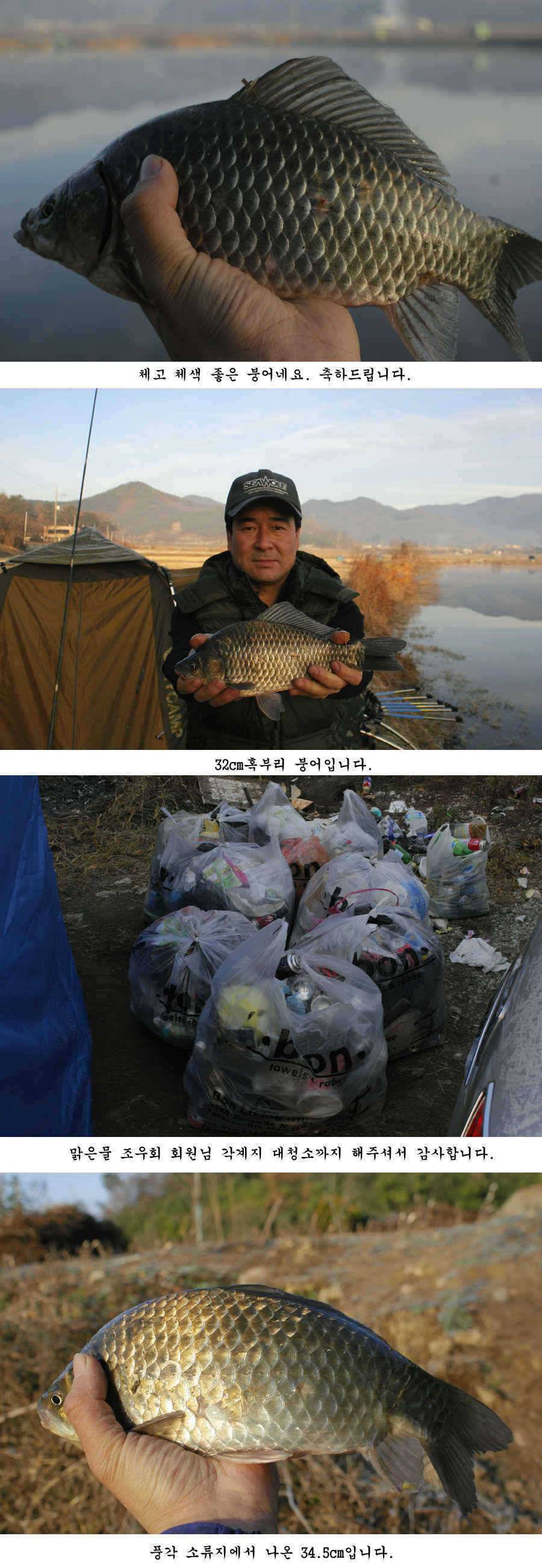 청도권 마지막 조황 (조황조행기 - 특파원조황)