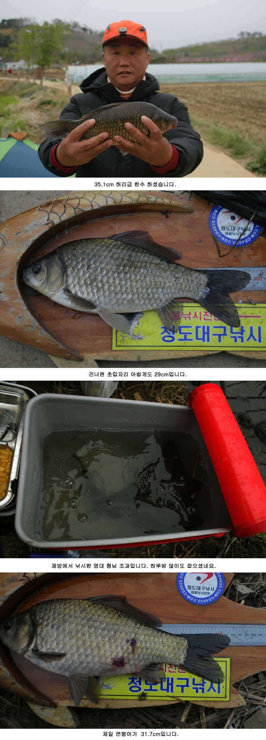 청도권 주말 조황 정보 (조황조행기 - 특파원조황)