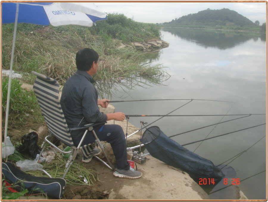 진위천 조황 소식 (조황조행기 - 특파원조황)