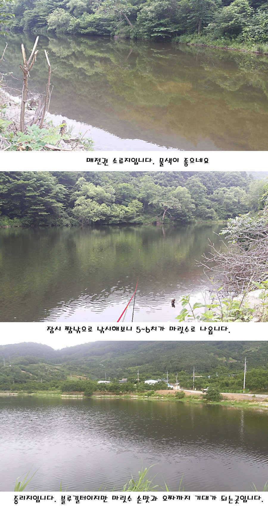 청도권 지난주 조황정보 (조황조행기 - 특파원조황)