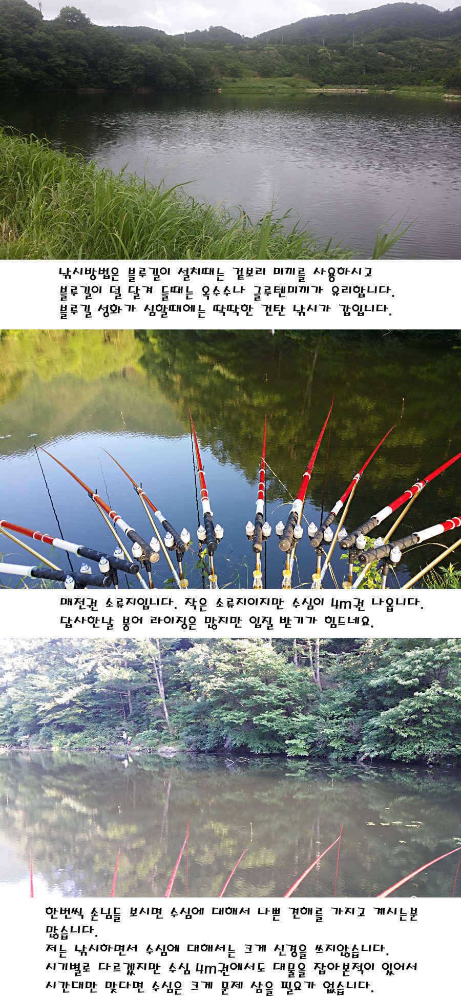 청도권 지난주 조황정보 (조황조행기 - 특파원조황)