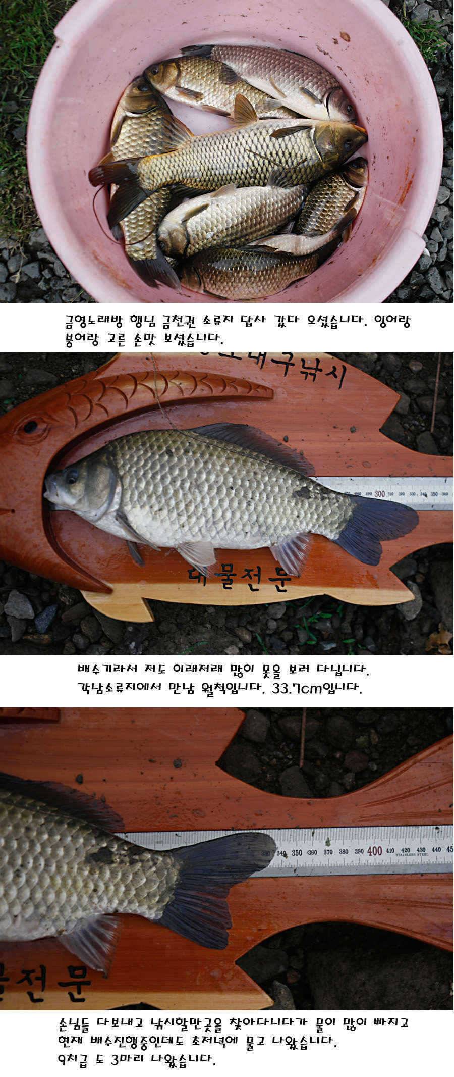 청도권 지난주 조황정보 (조황조행기 - 특파원조황)