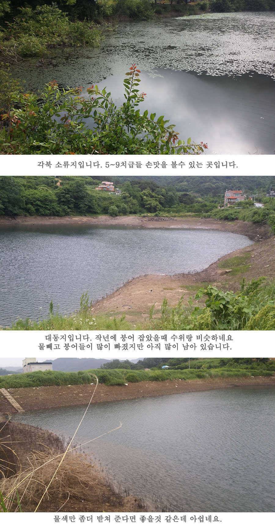 청도권 지난주 조황 (조황조행기 - 특파원조황)
