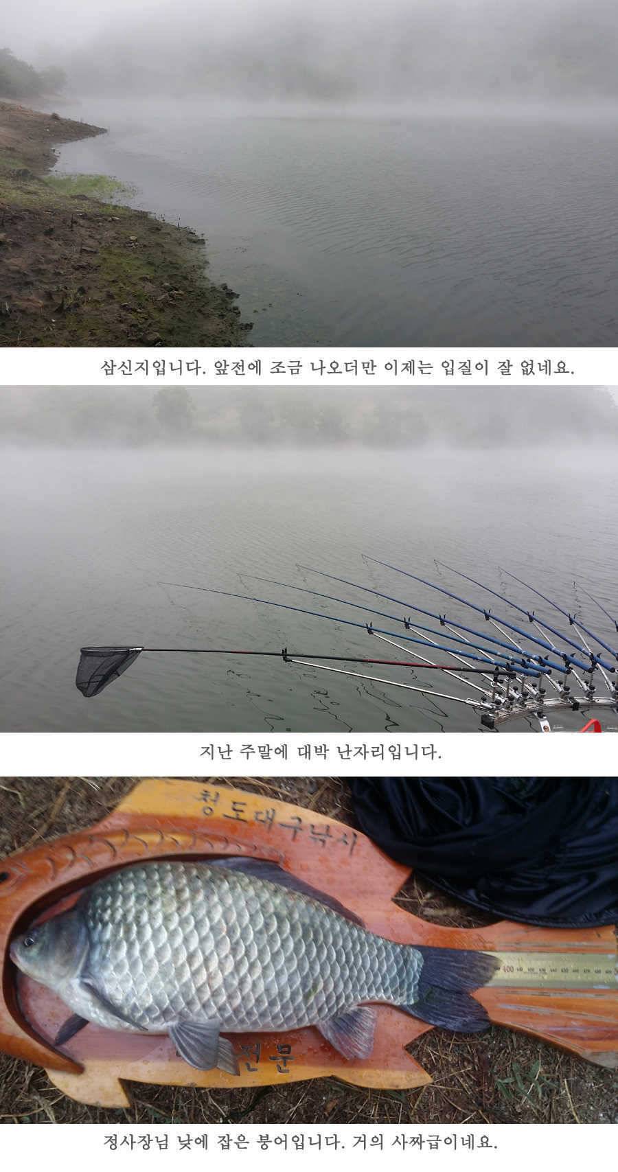 청도권 지난주 조황 (조황조행기 - 특파원조황)