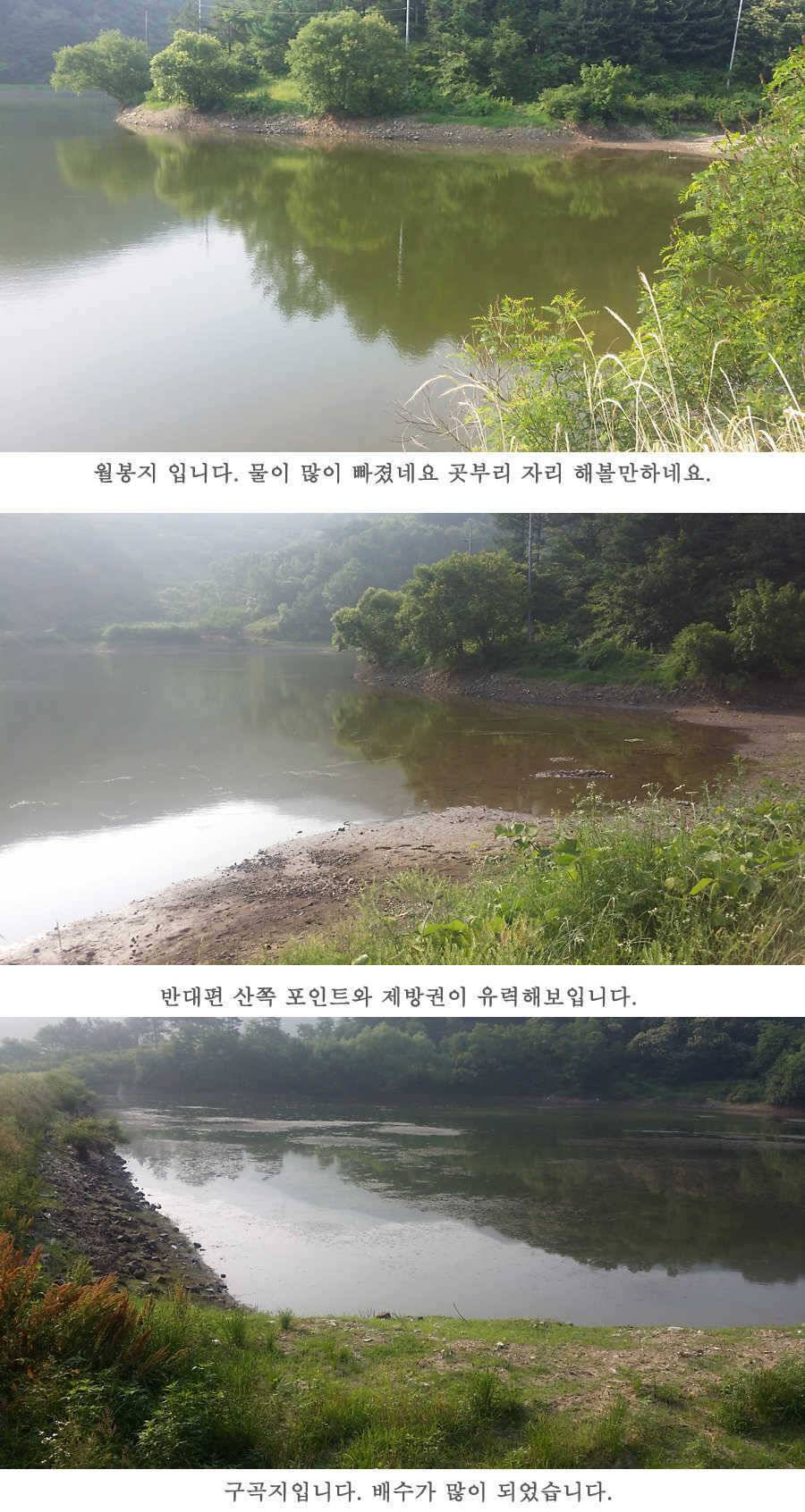 청도권 지난주 조황 (조황조행기 - 특파원조황)