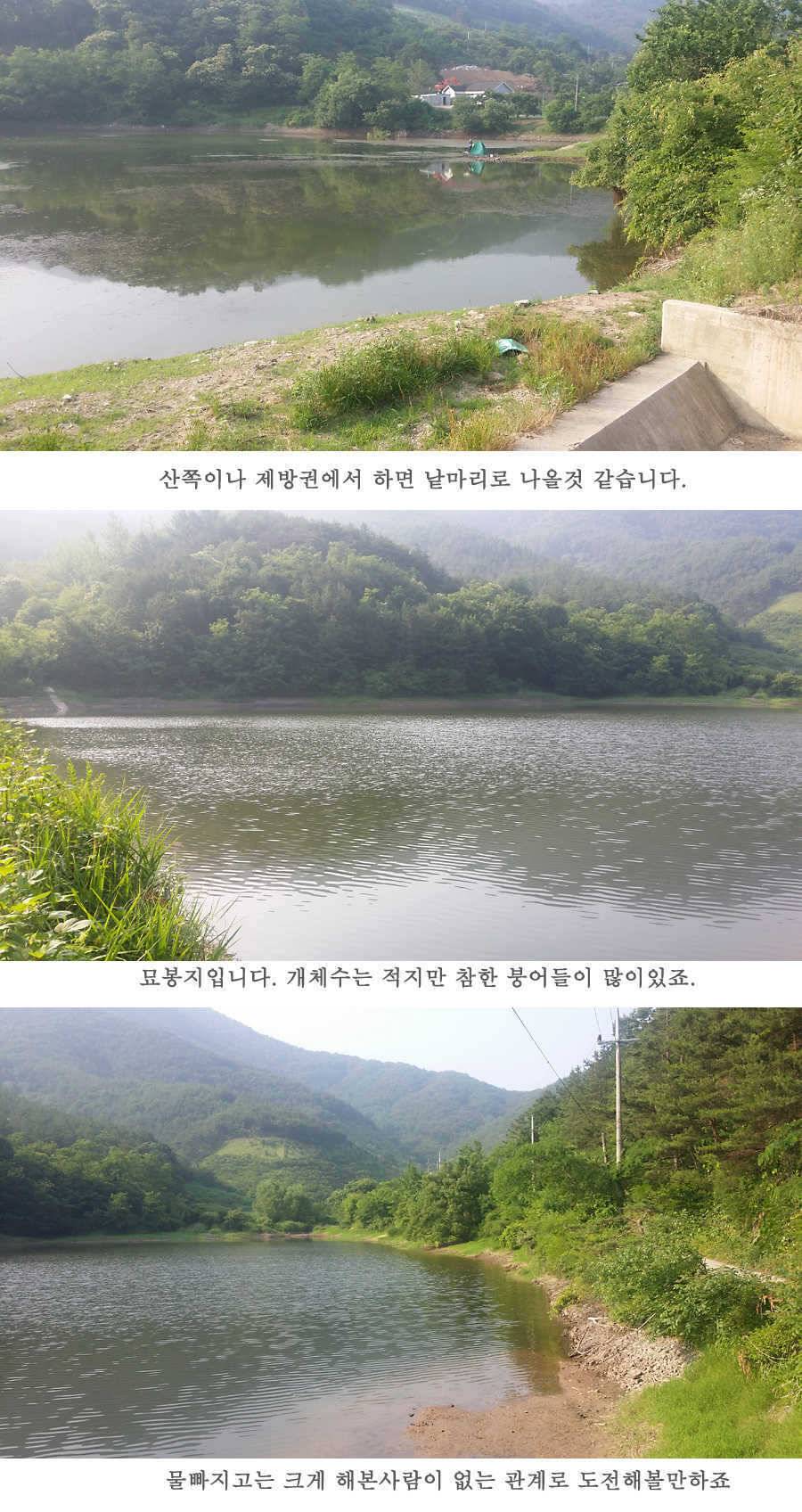 청도권 지난주 조황 (조황조행기 - 특파원조황)