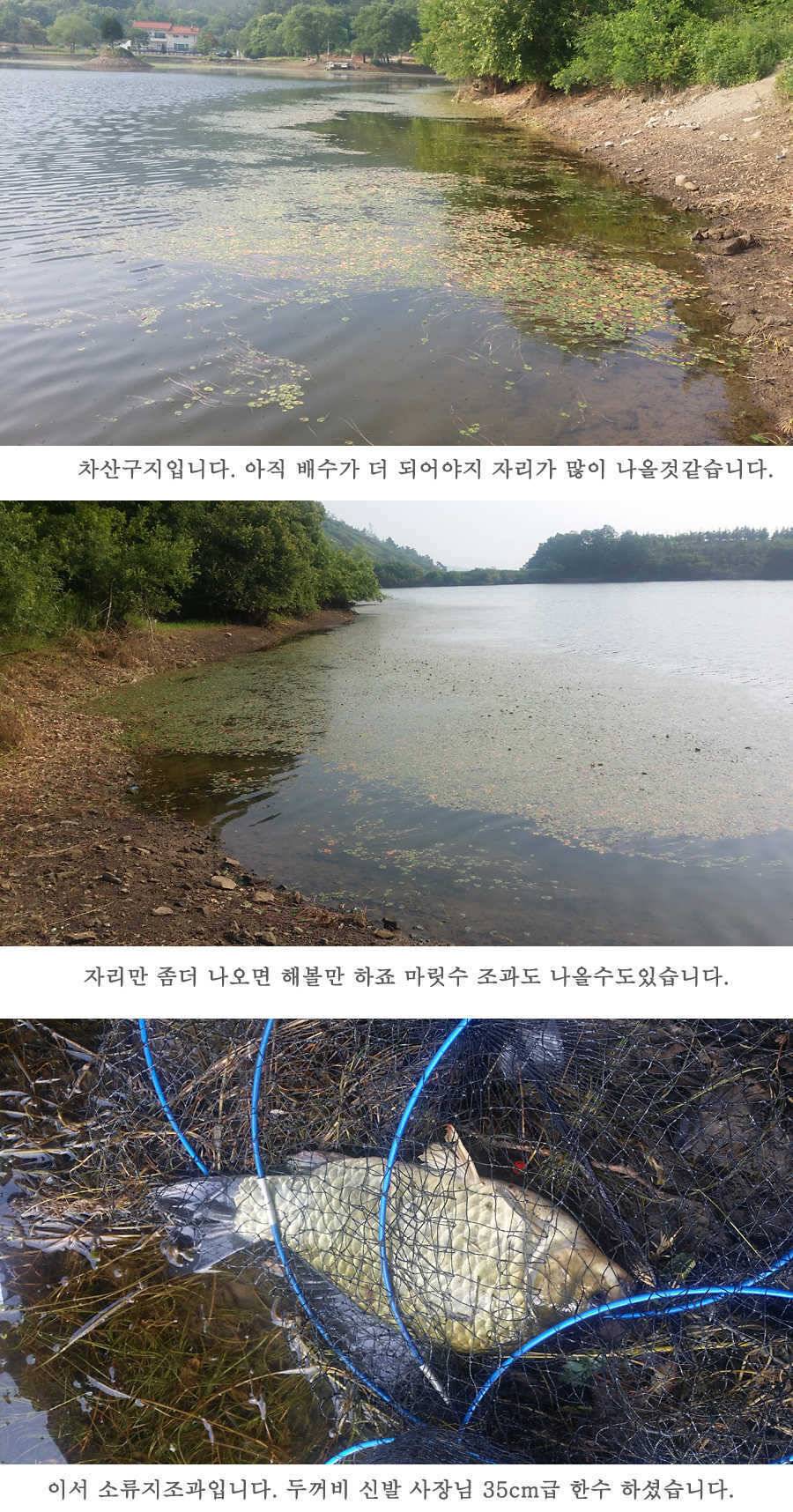 청도권 지난주 조황 (조황조행기 - 특파원조황)