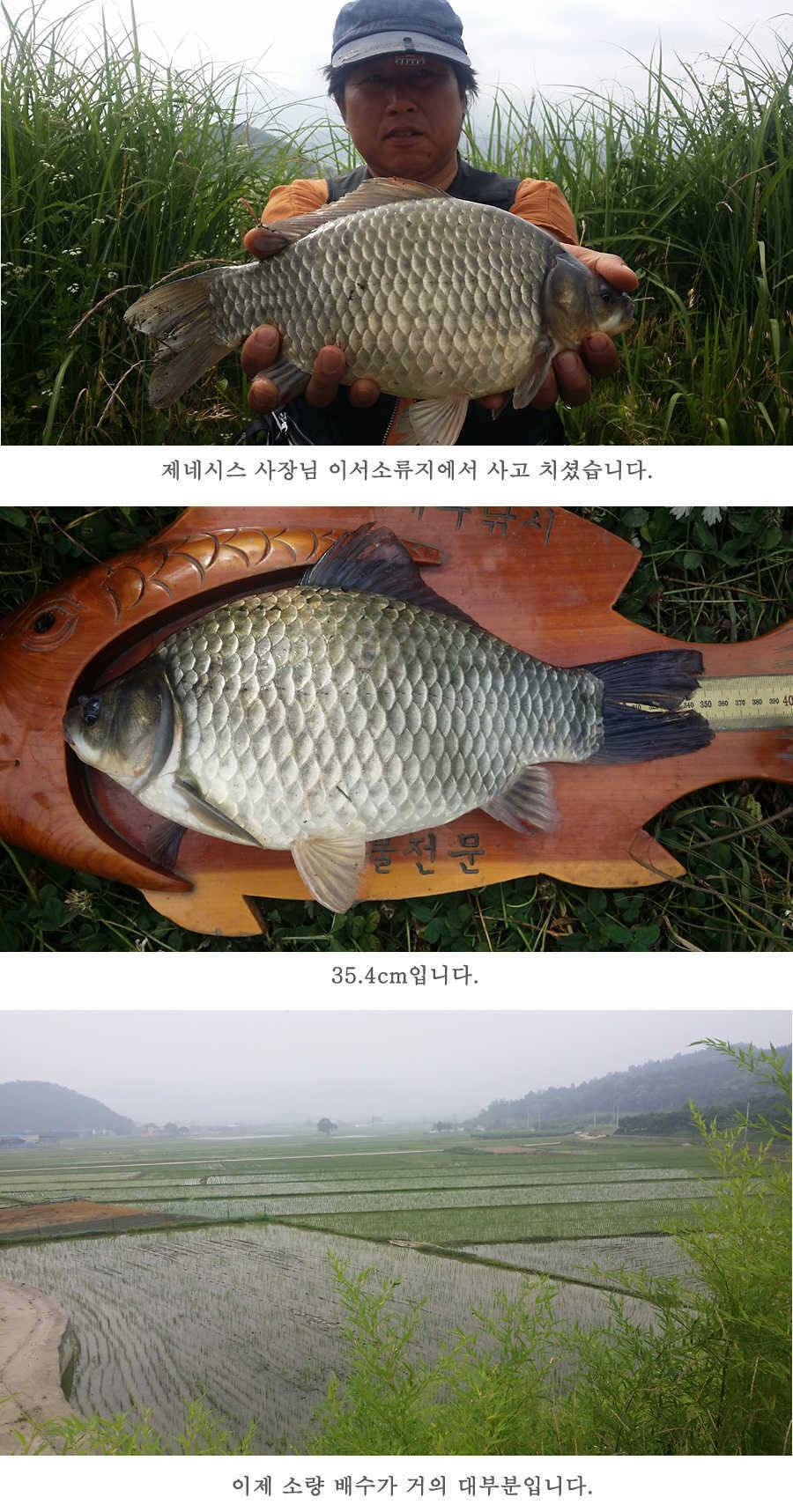 청도권 지난주 조황 (조황조행기 - 특파원조황)