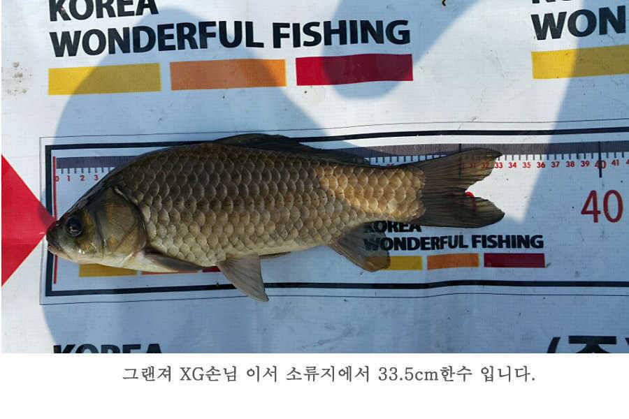 청도권 지난주 조황 (조황조행기 - 특파원조황)
