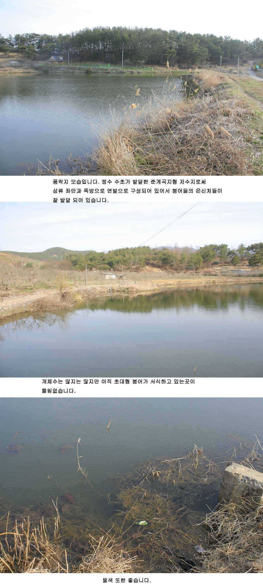 청도권 지난주 주중 주말 조황 (조황조행기 - 특파원조황)