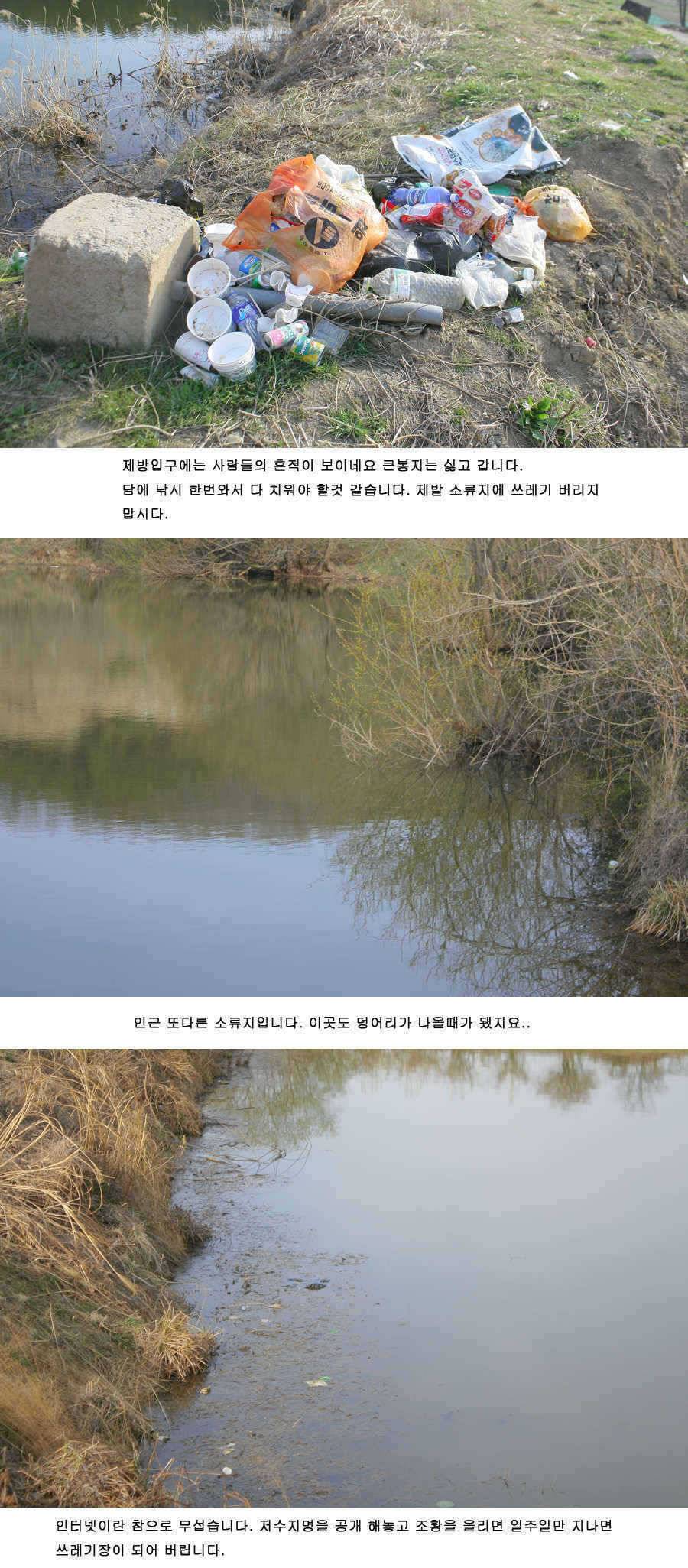 청도권 지난주 주중 주말 조황 (조황조행기 - 특파원조황)