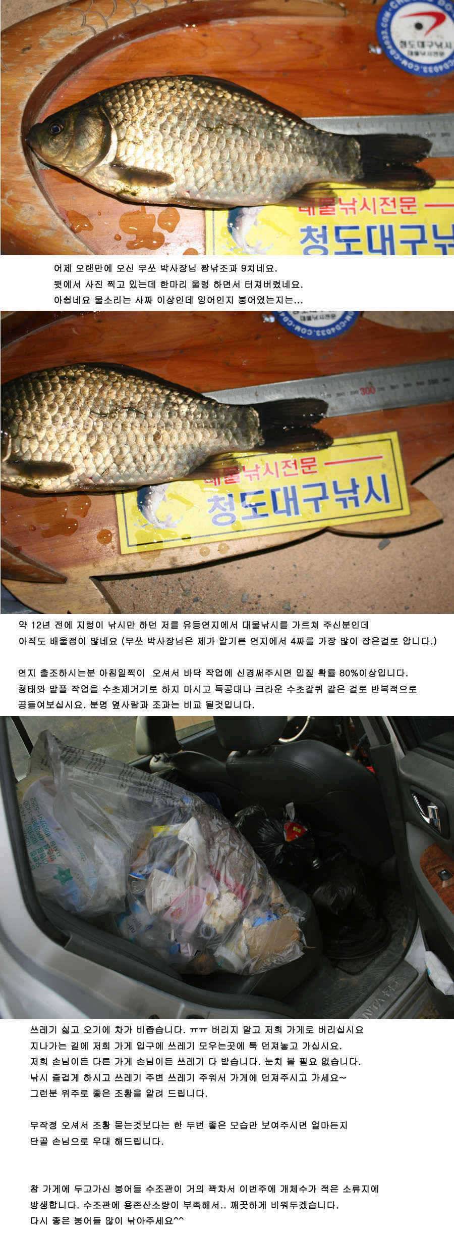 청도권 지난주 주중 주말 조황 (조황조행기 - 특파원조황)