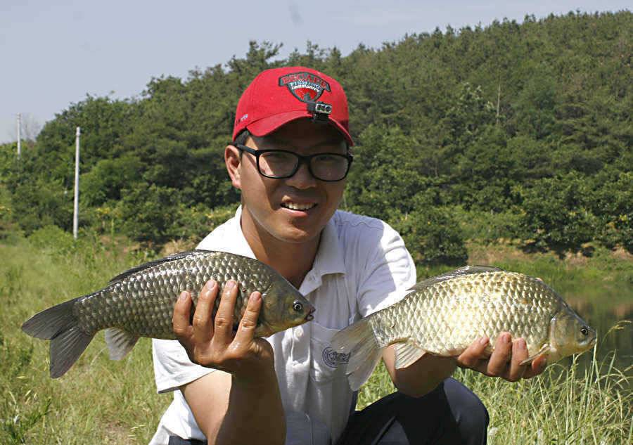 청도권 지난주 조황정보 (조황조행기 - 특파원조황)