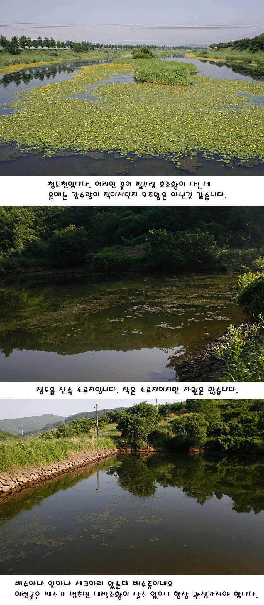 청도권 지난주 조황정보 (조황조행기 - 특파원조황)