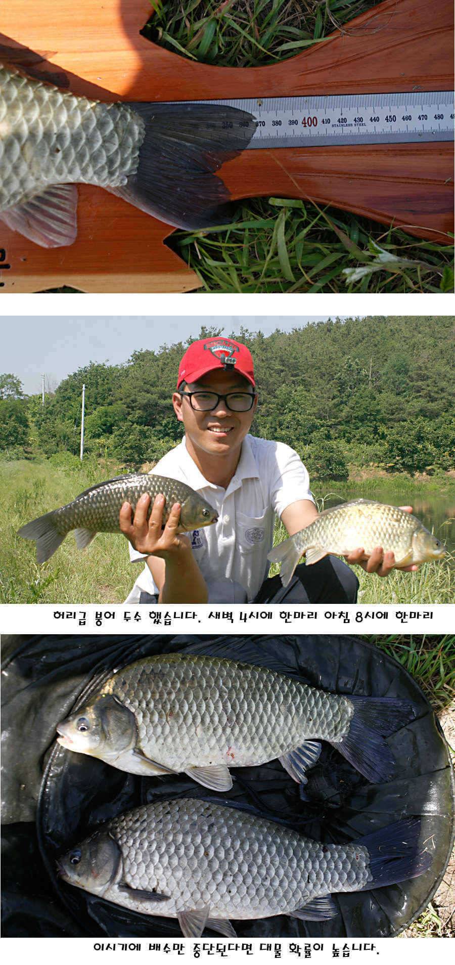 청도권 지난주 조황정보 (조황조행기 - 특파원조황)