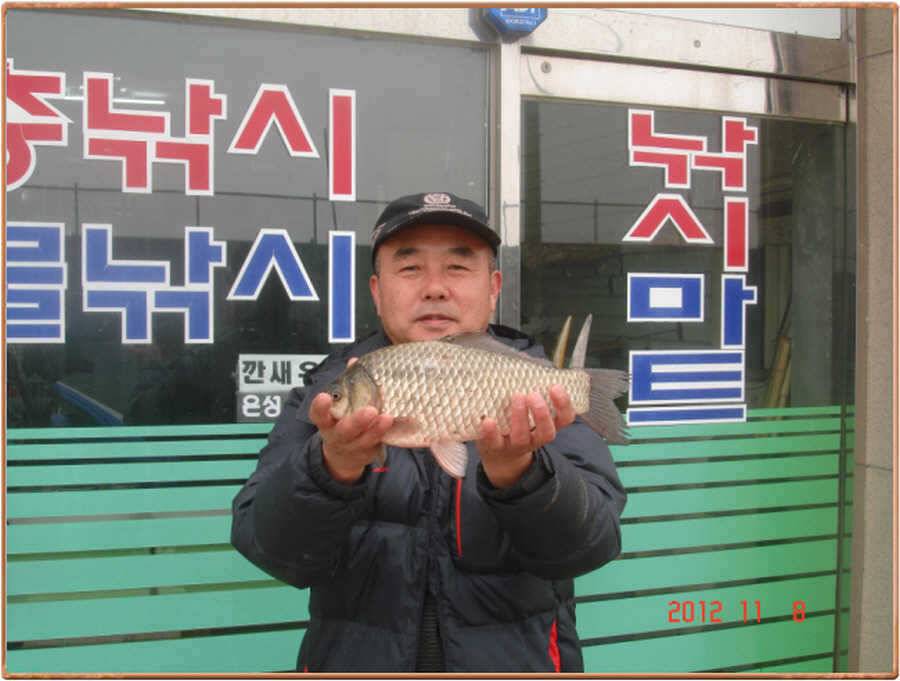 따끈한 진위천 소식 (조황조행기 - 특파원조황)