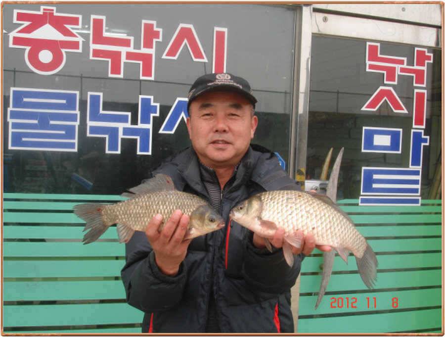 따끈한 진위천 소식 (조황조행기 - 특파원조황)