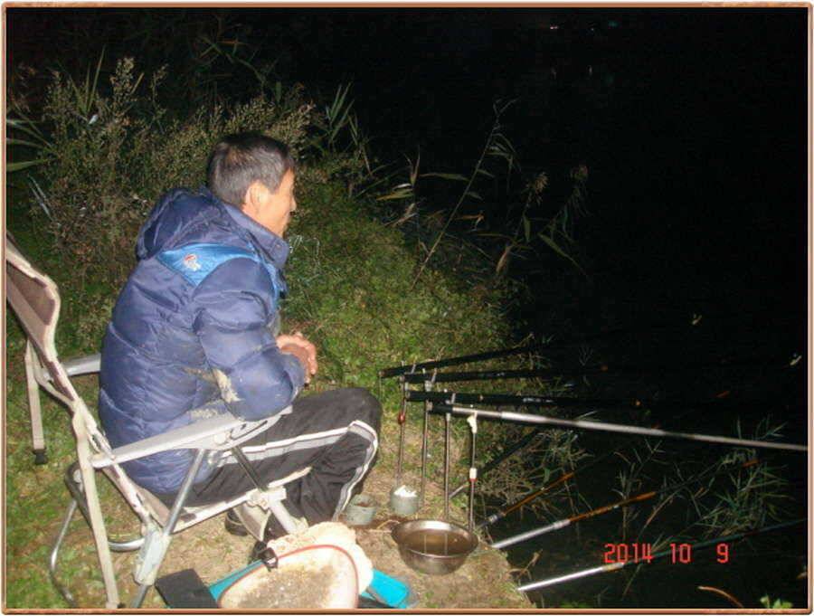 진위천 조황 소식 (조황조행기 - 특파원조황)