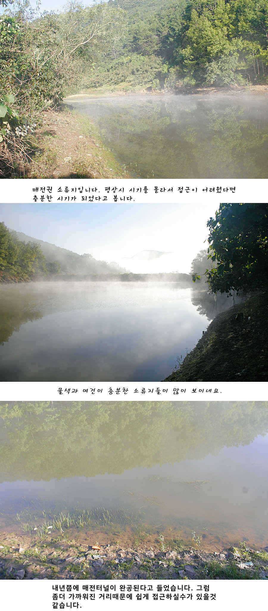 청도권 소류지에서 월척들이 (조황조행기 - 특파원조황)