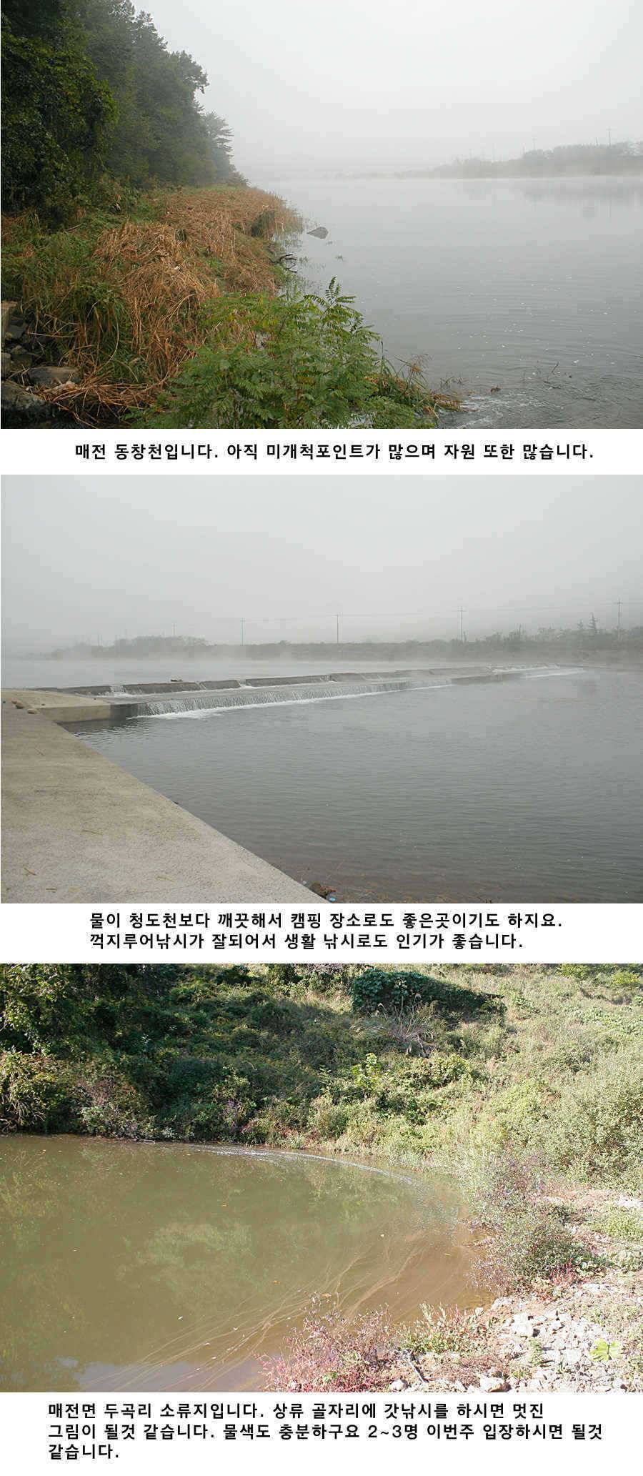 청도권 소류지에서 월척들이 (조황조행기 - 특파원조황)