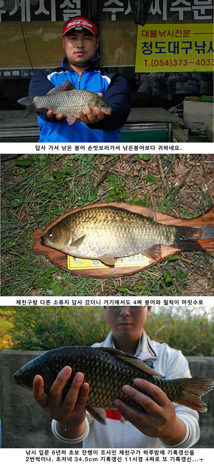 청도권 소류지에서 월척들이 (조황조행기 - 특파원조황)