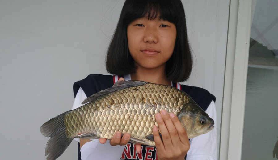 하천리 44cm 대물붕어 목벌리 4짜 대물붕어 키로급장어 소식 (조황조행기 - 특파원조황)