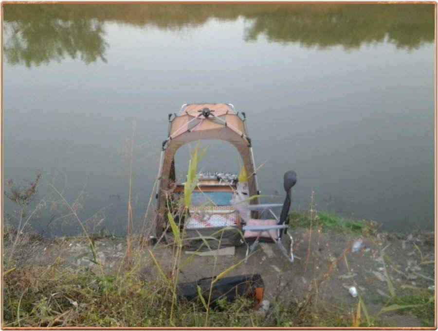 진위천 소식 (조황조행기 - 특파원조황)