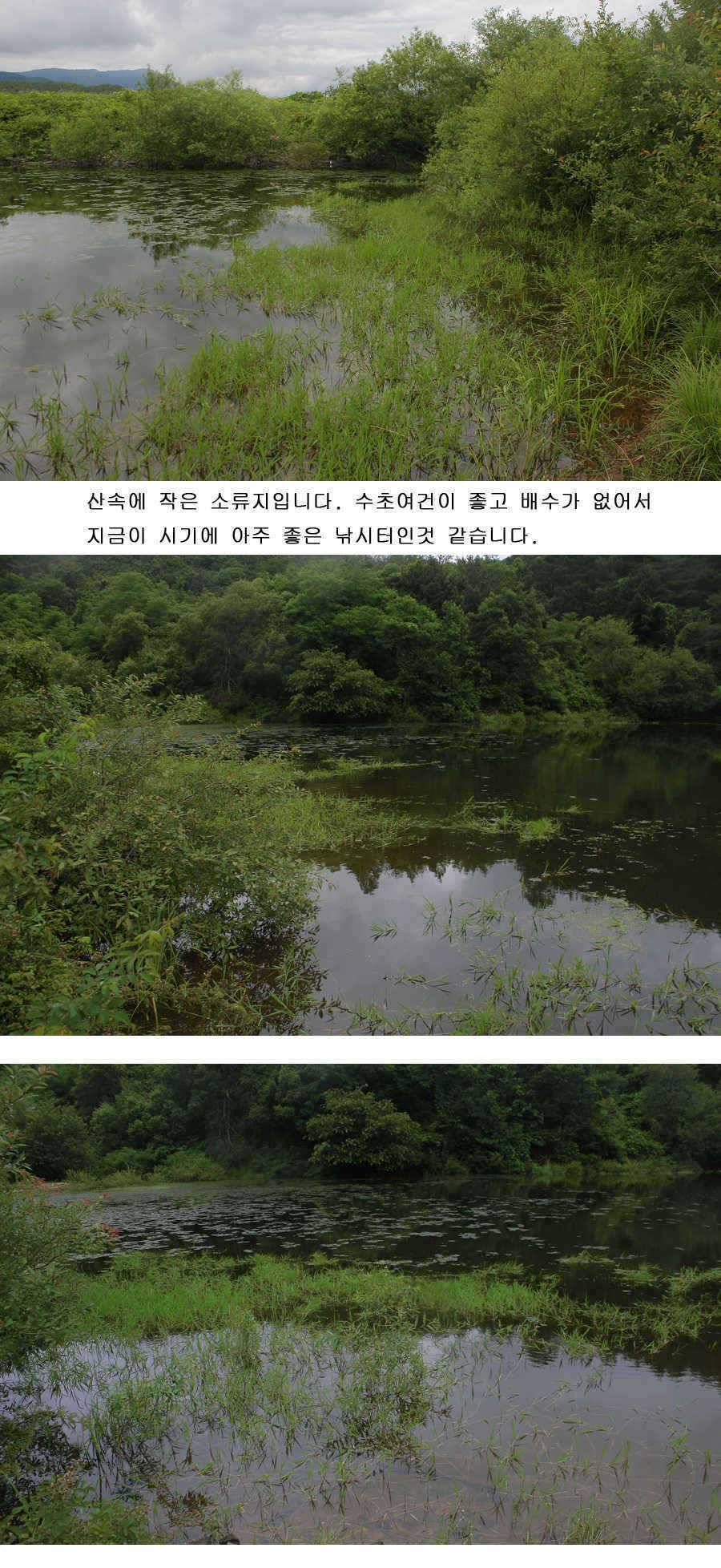 청도권 주중 주말 조황 (조황조행기 - 특파원조황)