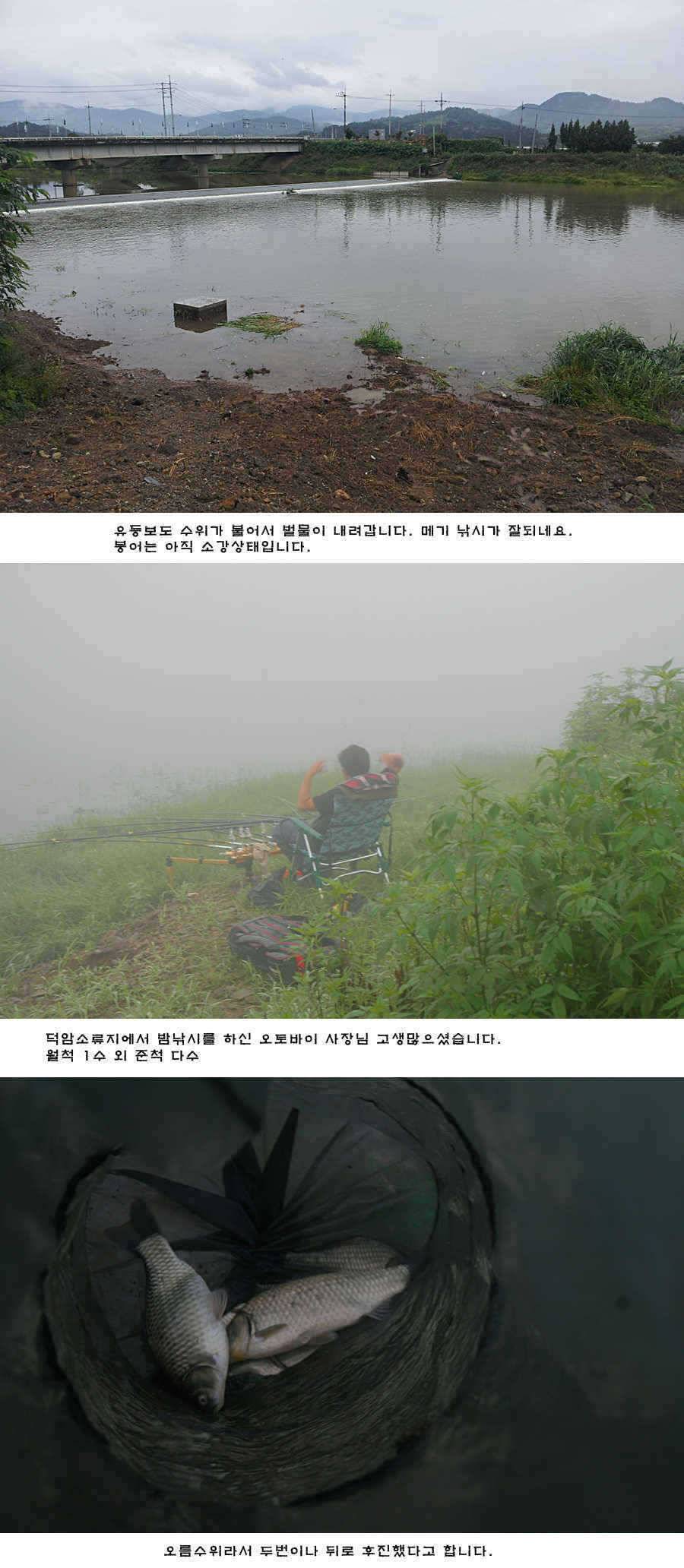 청도권 새물찬스 오름수위 호조황 (조황조행기 - 특파원조황)