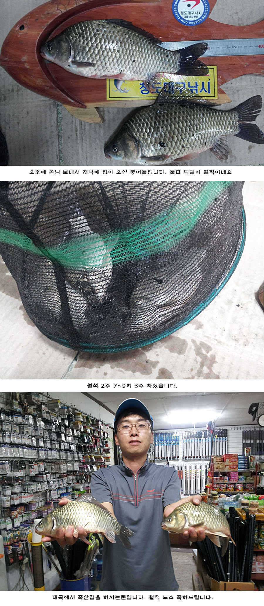 청도권 새물찬스 오름수위 호조황 (조황조행기 - 특파원조황)