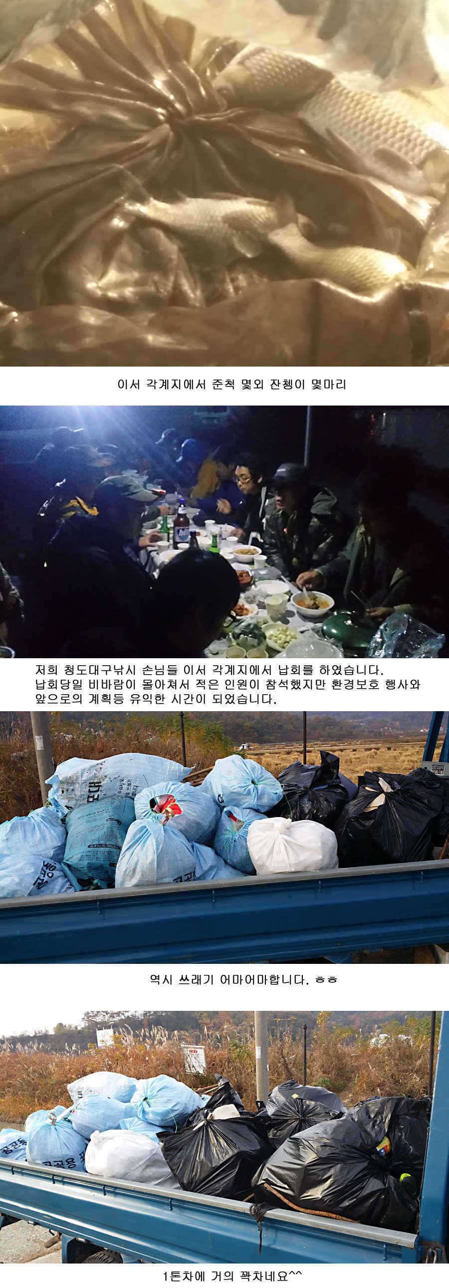 청도권 지난주 조황정보 (조황조행기 - 특파원조황)