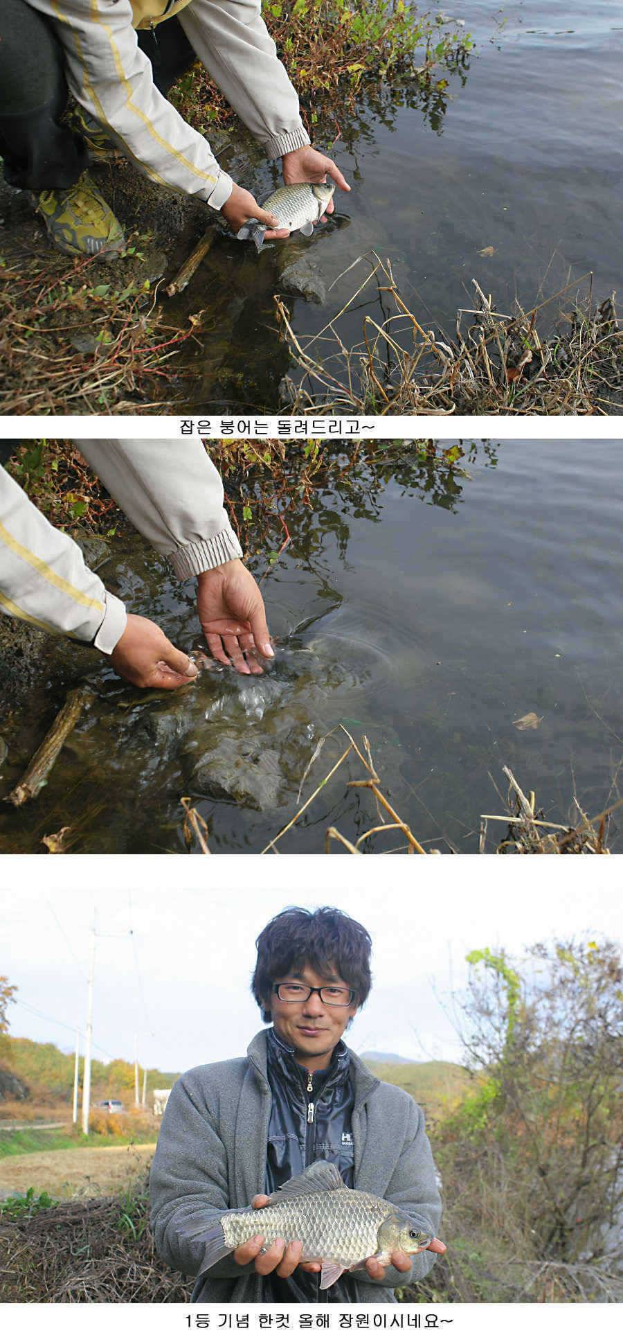 청도권 지난주 조황정보 (조황조행기 - 특파원조황)