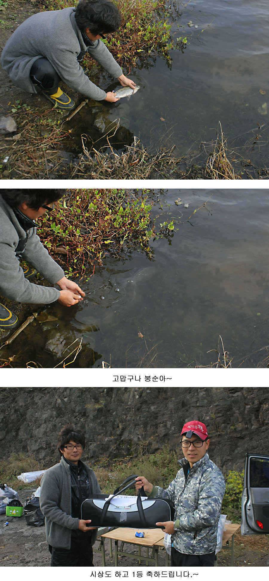 청도권 지난주 조황정보 (조황조행기 - 특파원조황)