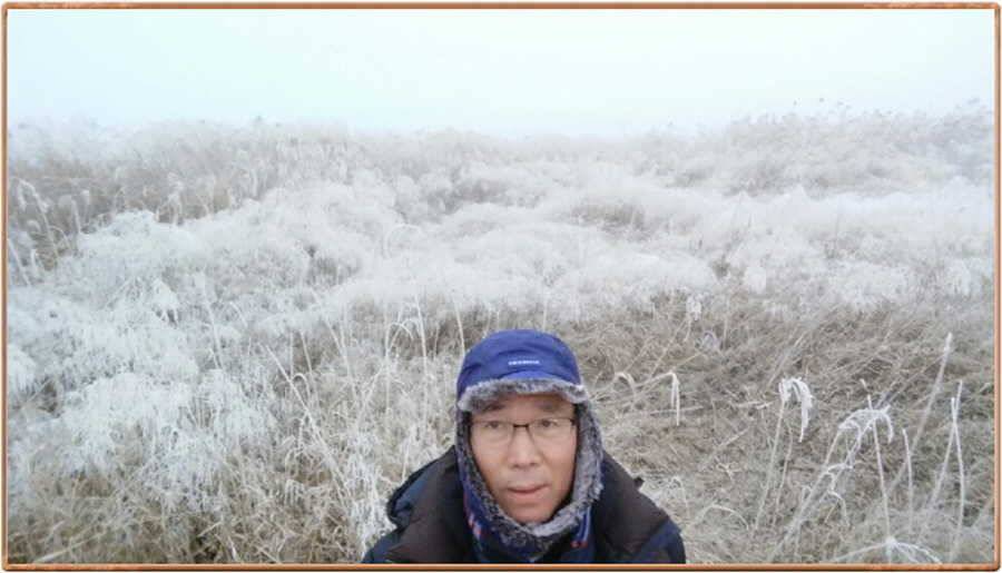 진위천 조황 소식 (조황조행기 - 특파원조황)