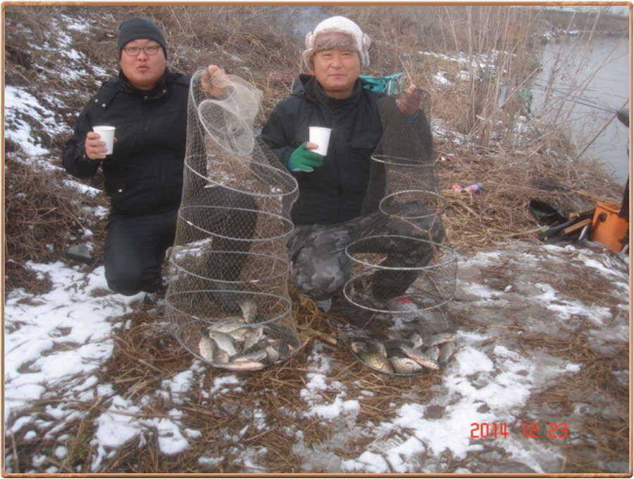 진위천 백봉 동청조황 소식 (조황조행기 - 특파원조황)