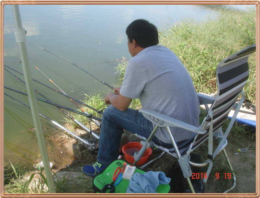 주중 진위천 조황 소식 (조황조행기 - 특파원조황)