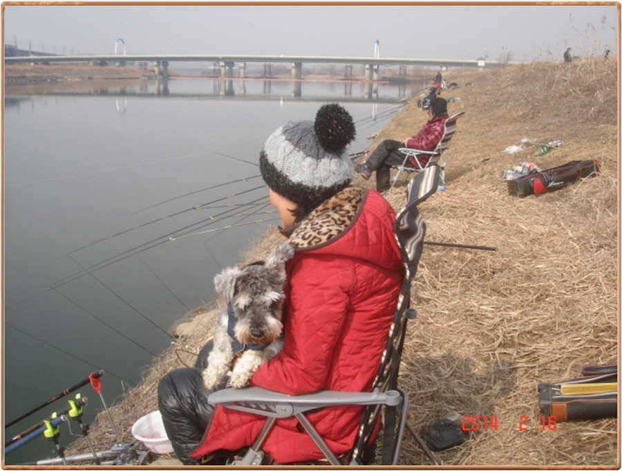 진위천 조황 소식 (조황조행기 - 특파원조황)