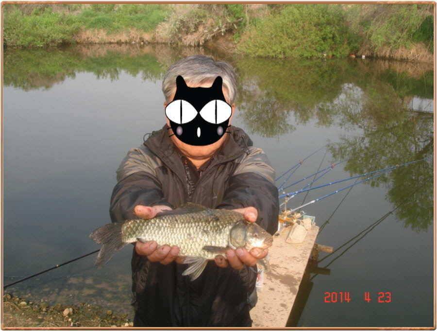 진위천 조황 소식 (조황조행기 - 특파원조황)