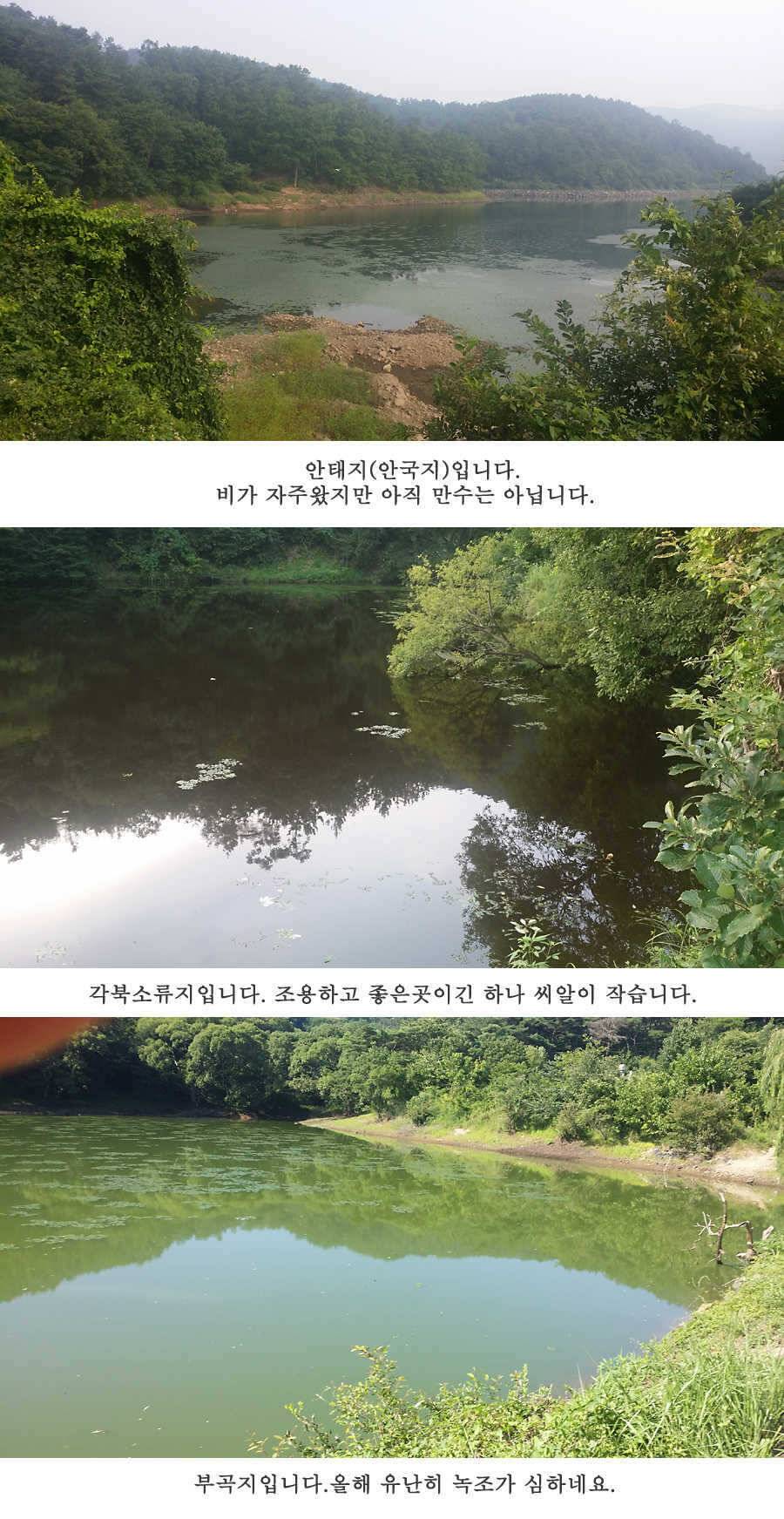 청도권 이번주 조황입니다 (조황조행기 - 특파원조황)