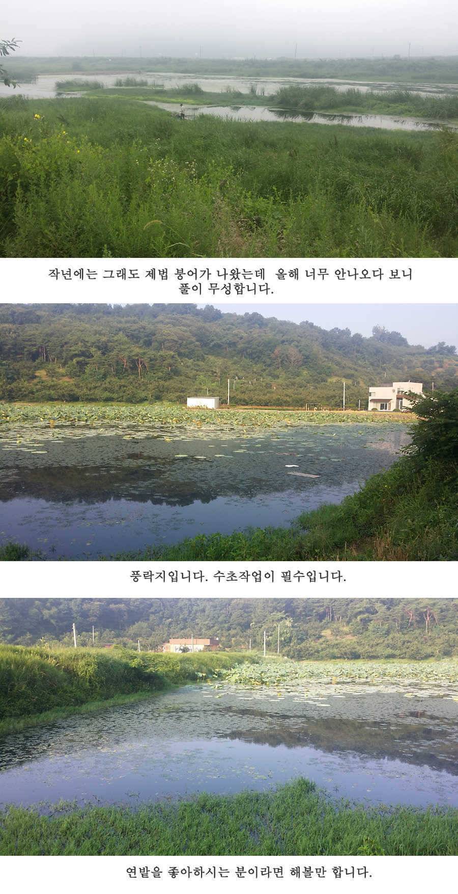 청도권 이번주 조황입니다 (조황조행기 - 특파원조황)