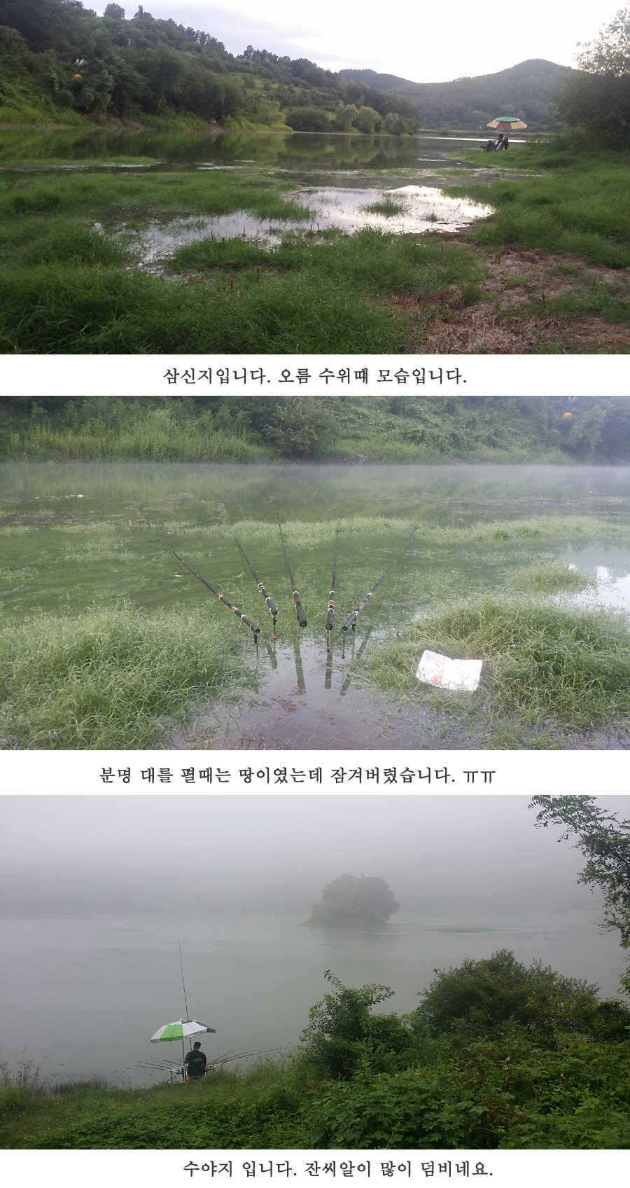 청도권 이번주 조황입니다 (조황조행기 - 특파원조황)