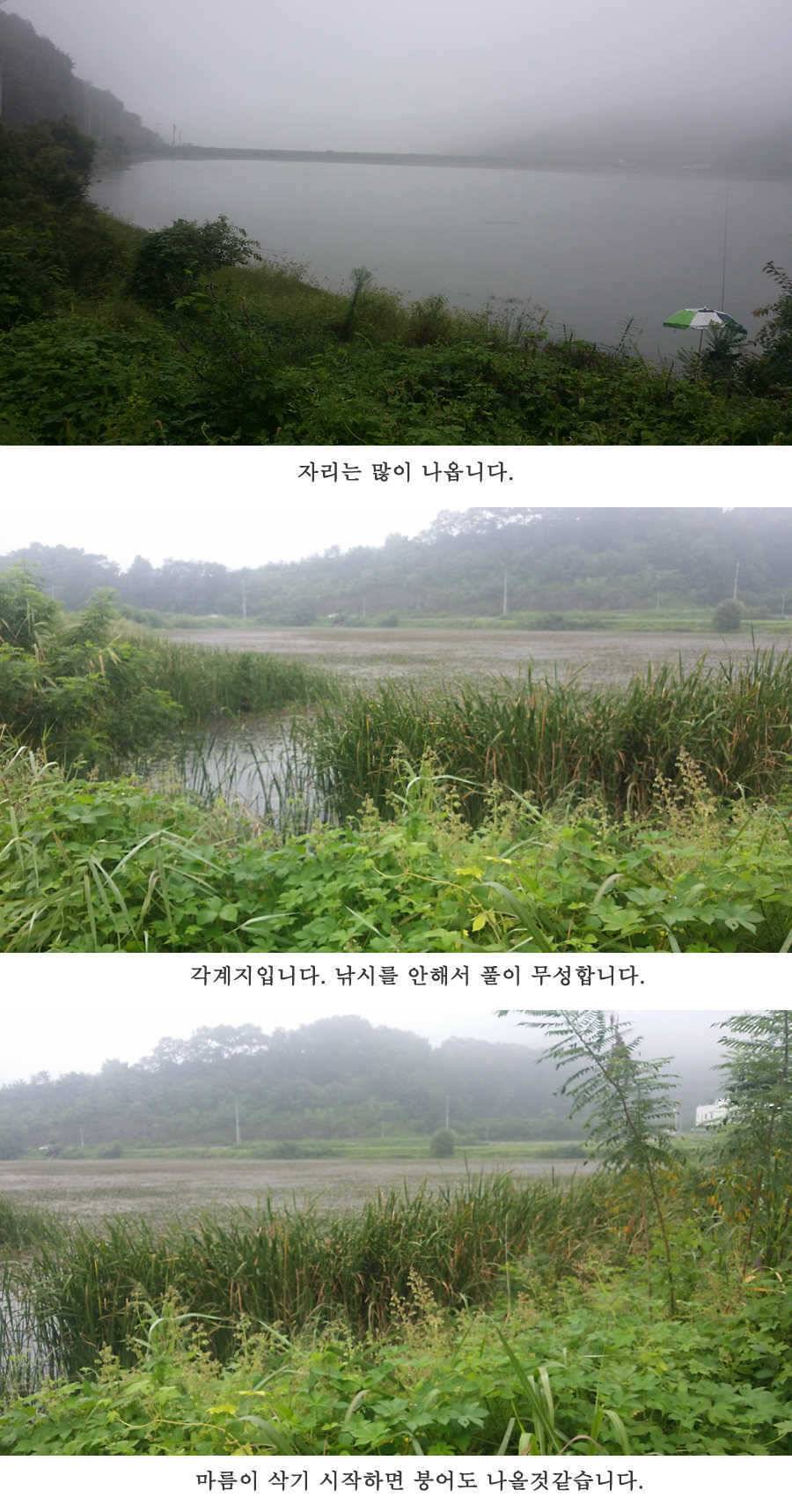 청도권 이번주 조황입니다 (조황조행기 - 특파원조황)