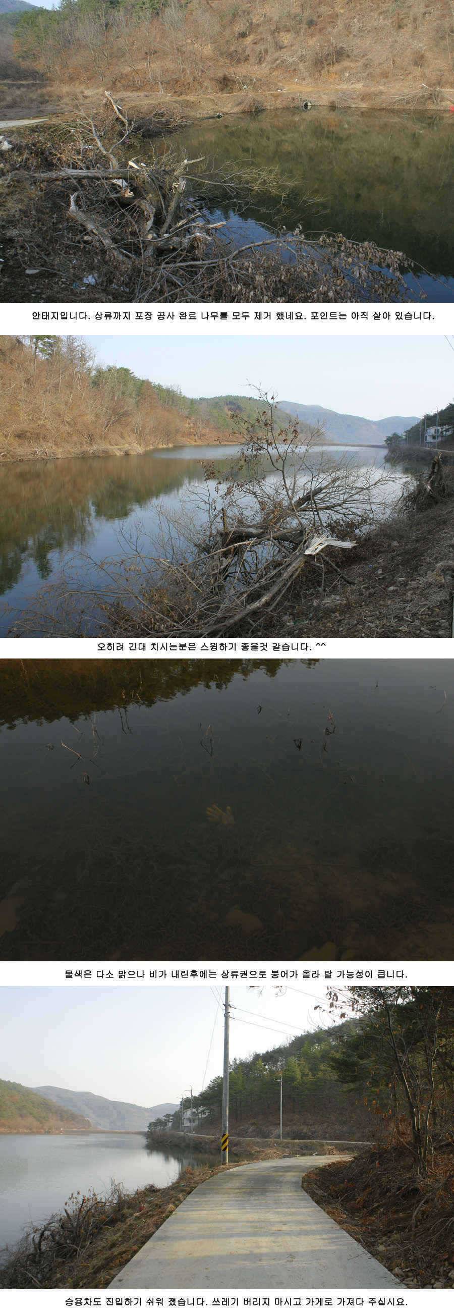 청도권 주말 주중 조황정보 (조황조행기 - 특파원조황)